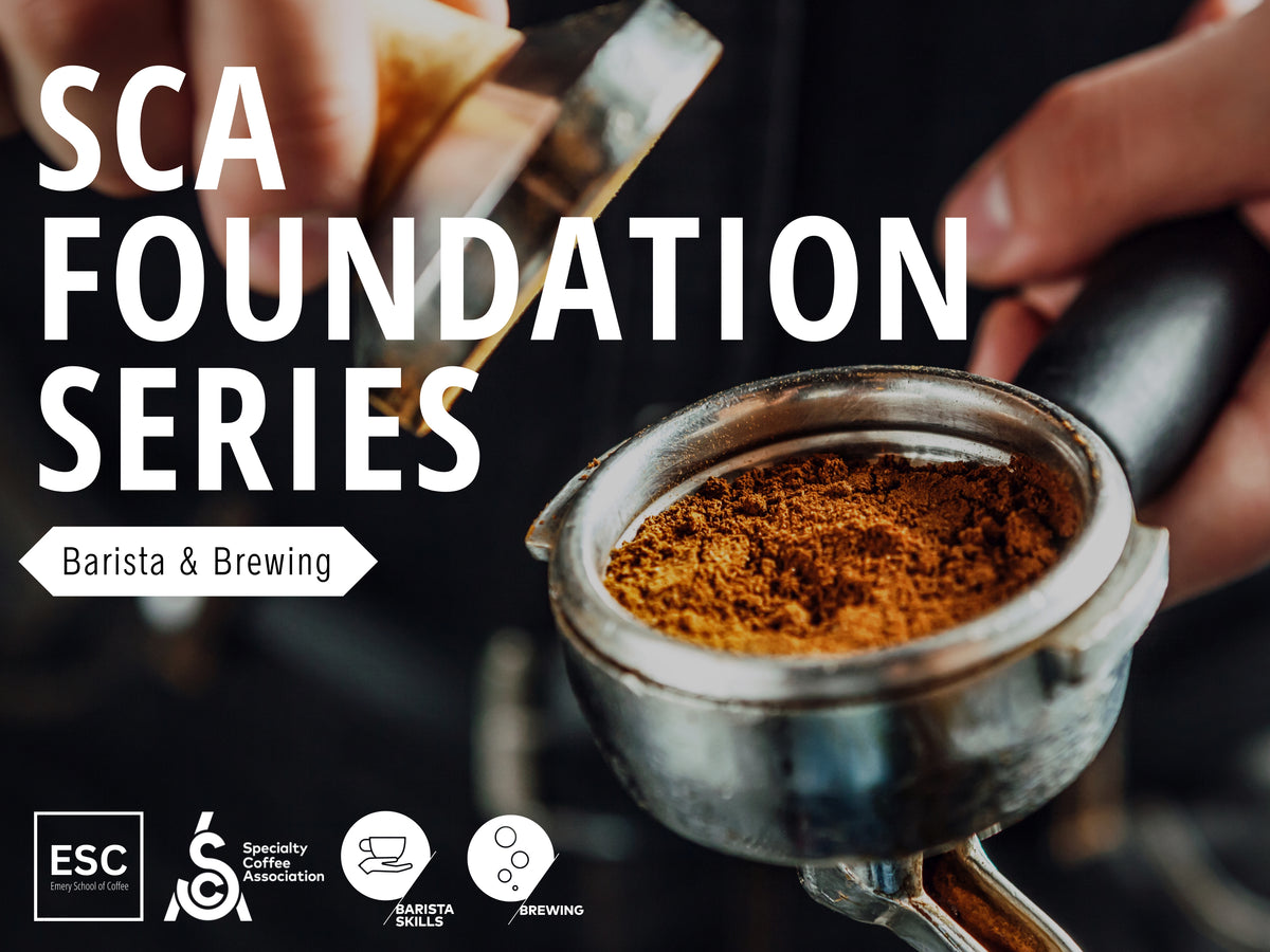 SCA FOUNDATION SERIES: BARISTA & BREWING SKILLS – Emery School of Coffee