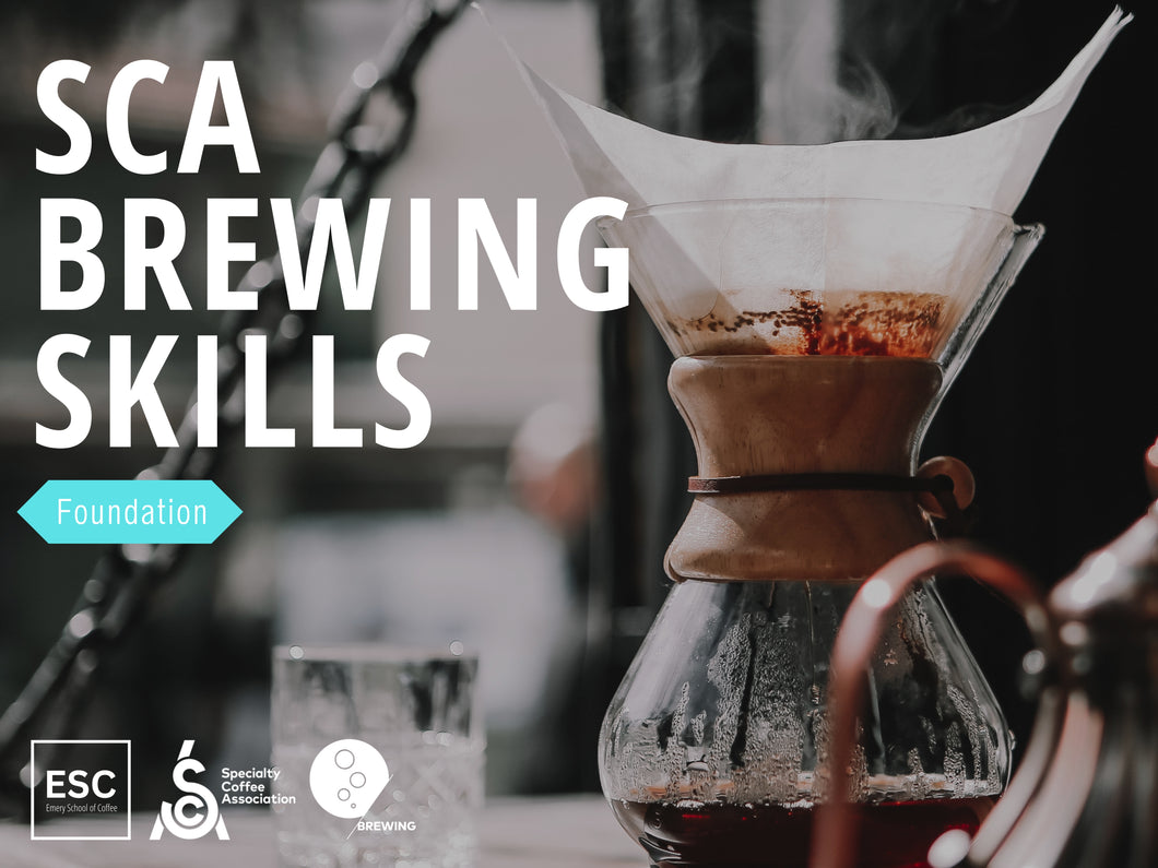 SCA Brewing Skills Foundation