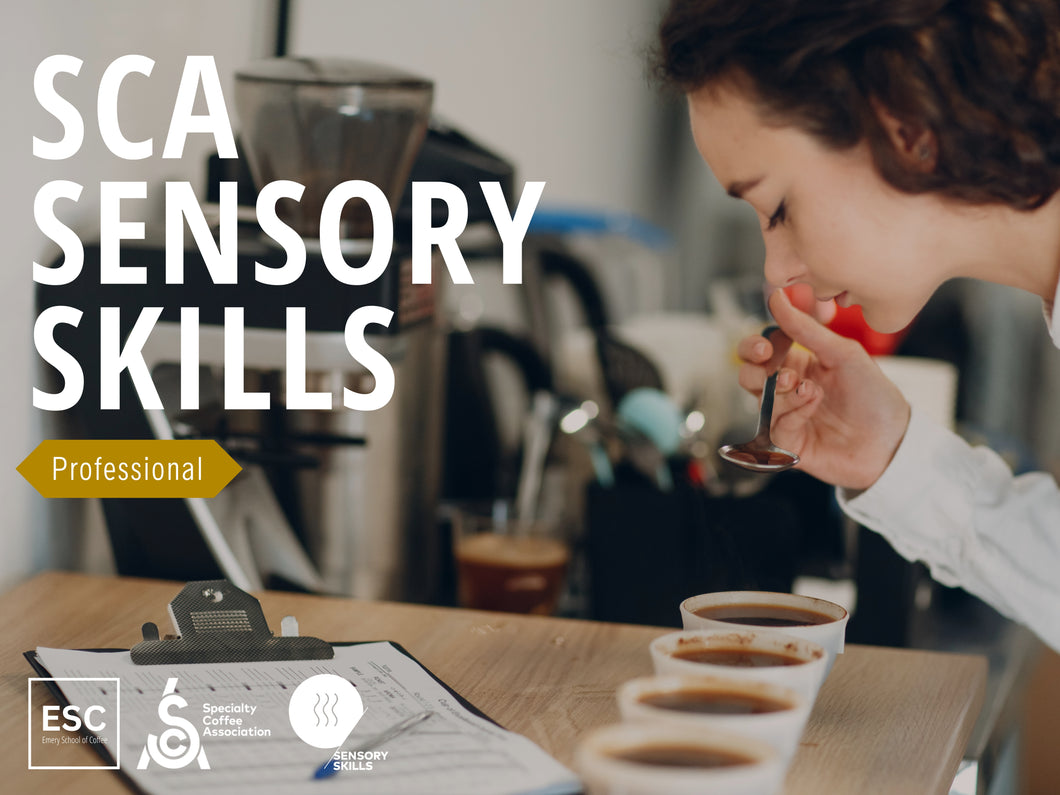 SCA Sensory Skills Professional