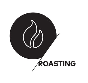 SCA Roasting Skills Foundation