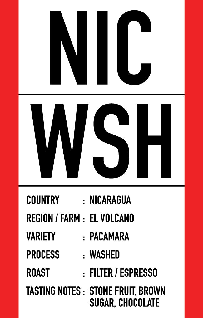Nicaragua El Volcano Pacamara Washed