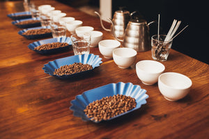 Introduction to Specialty Coffee